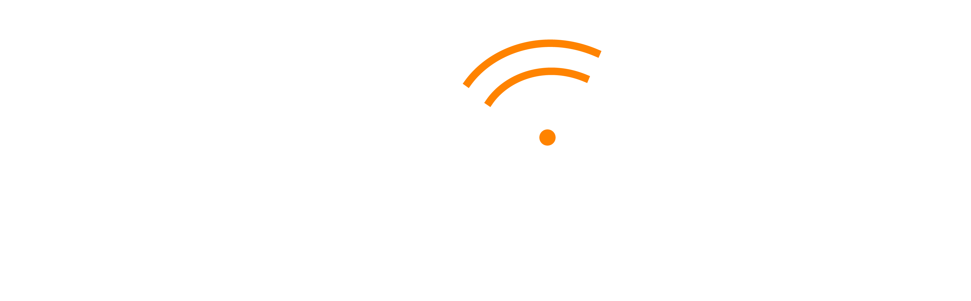 SecurEdge Networks Logo